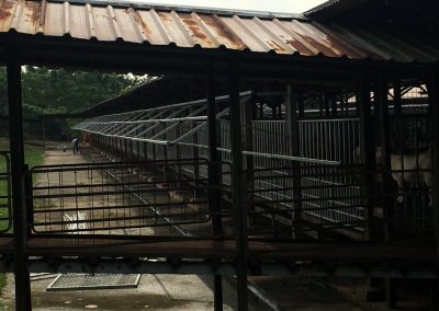 Shelter Extension For Animals